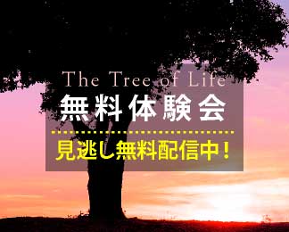 生命の木の旅 wtth オーラソーマ＆タロット 無料体験会