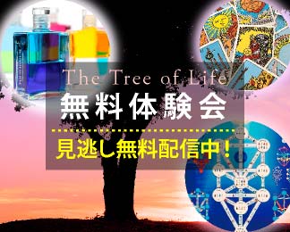 生命の木の旅 with オーラソーマ＆タロット 無料体験会